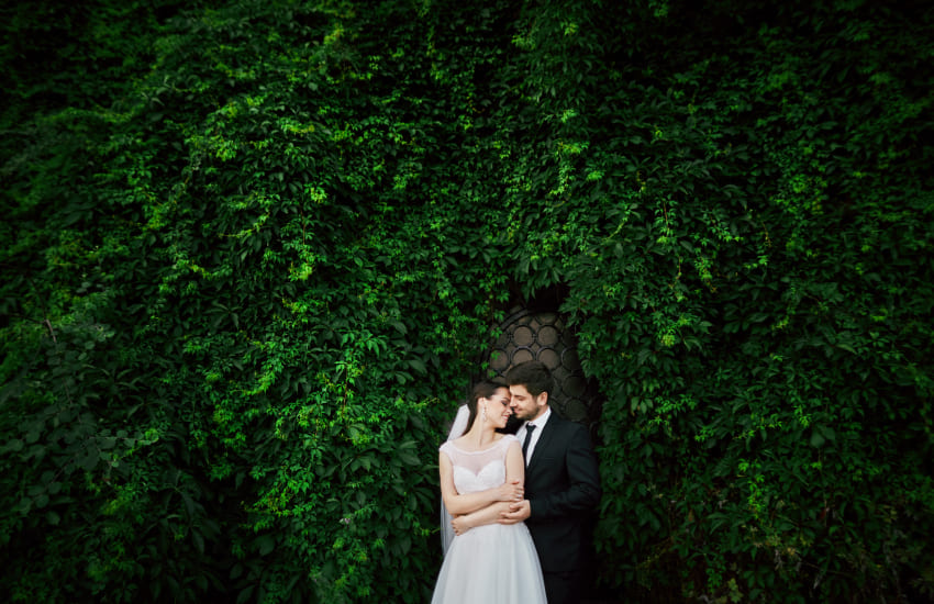 жених и невеста, поцелуй, зеленая стена