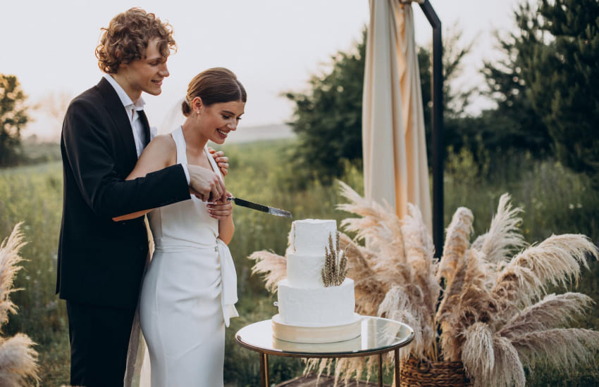 жених и невеста, свадебный торт, разрезание торта