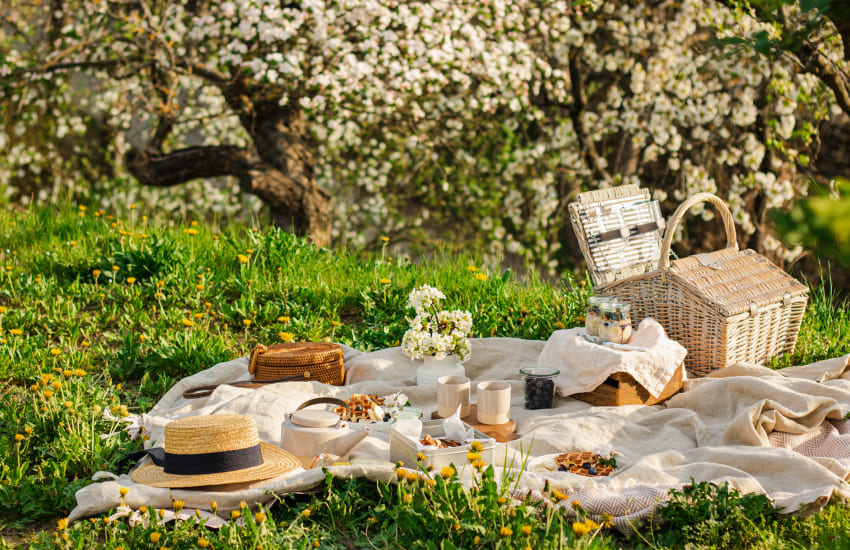 пикник, свадьба, цветущие деревья, соломенные шляпы